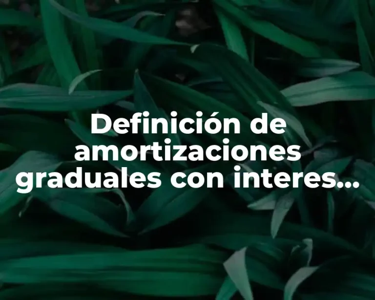 Definición de amortizaciones graduales con interes compuesto