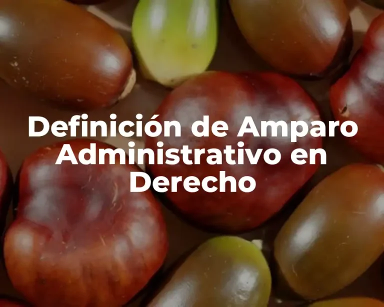 Definición de Amparo Administrativo en Derecho