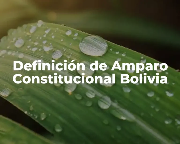 Definición de Amparo Constitucional Bolivia