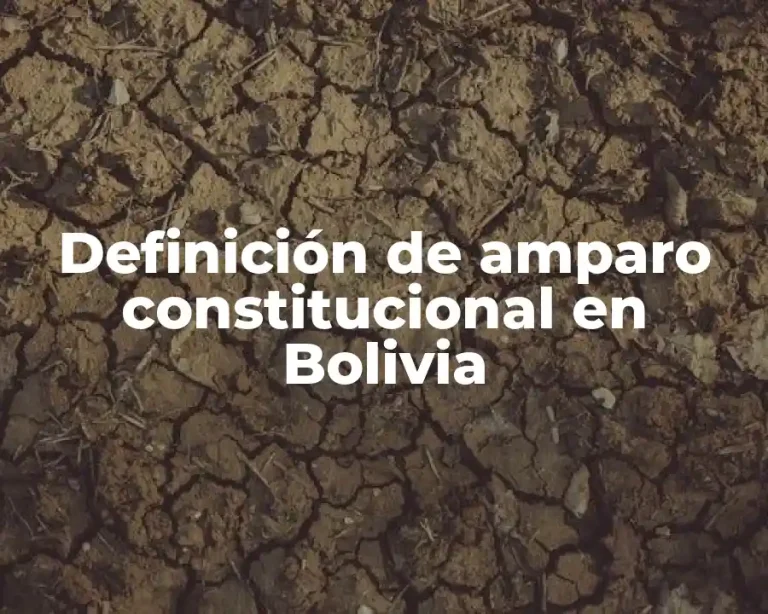 Definición de amparo constitucional en Bolivia