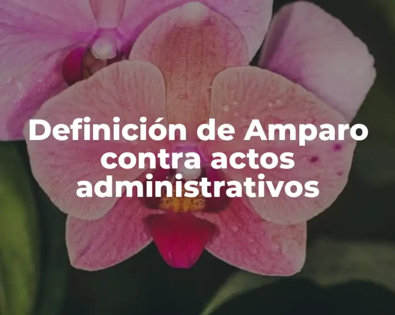 Definición de Amparo contra actos administrativos