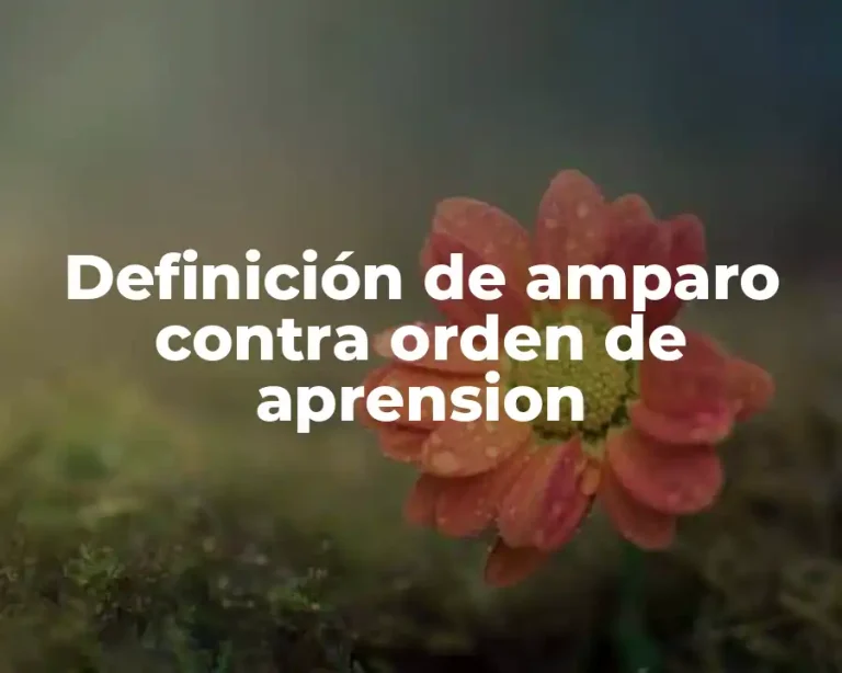 Definición de amparo contra orden de aprension