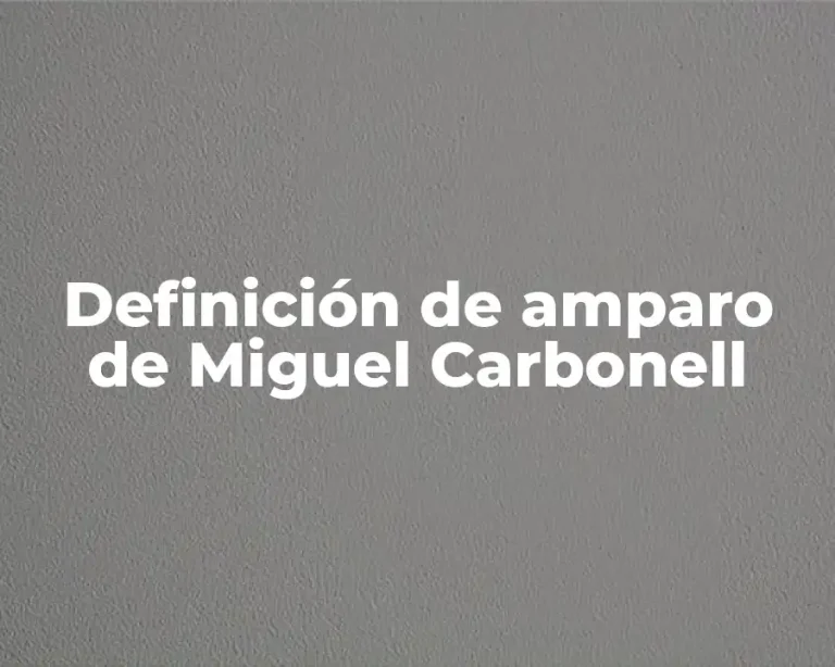 Definición de amparo de Miguel Carbonell