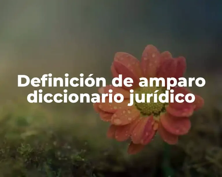 Definición de amparo diccionario jurídico