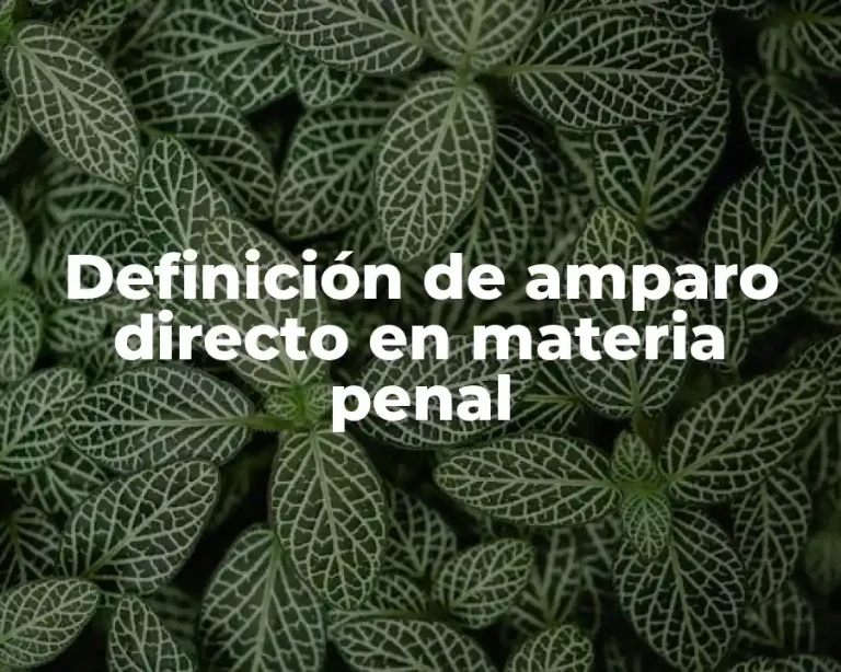 Definición de amparo directo en materia penal