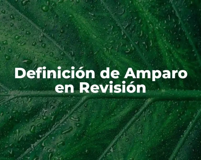 Definición de Amparo en Revisión