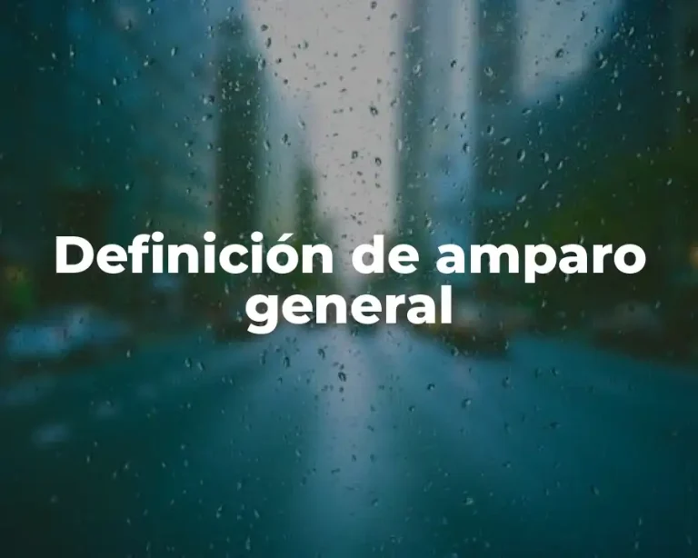 Definición de amparo general