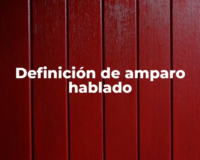 Definición de amparo hablado