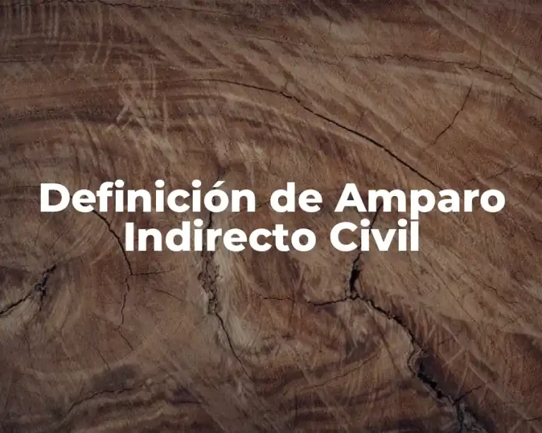 Definición de Amparo Indirecto Civil
