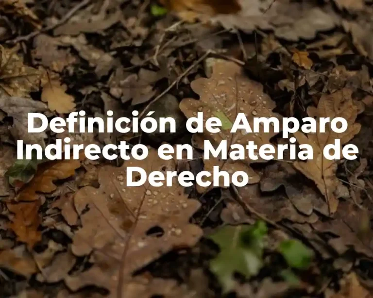 Definición de Amparo Indirecto en Materia de Derecho