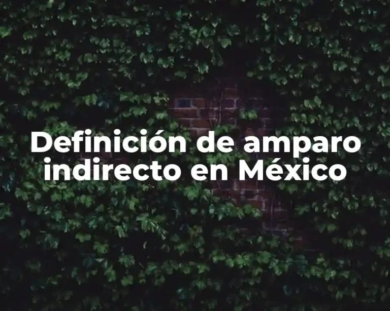 Definición de amparo indirecto en México