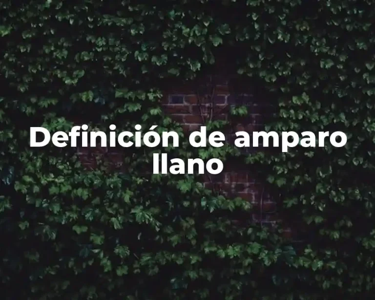 Definición de amparo llano