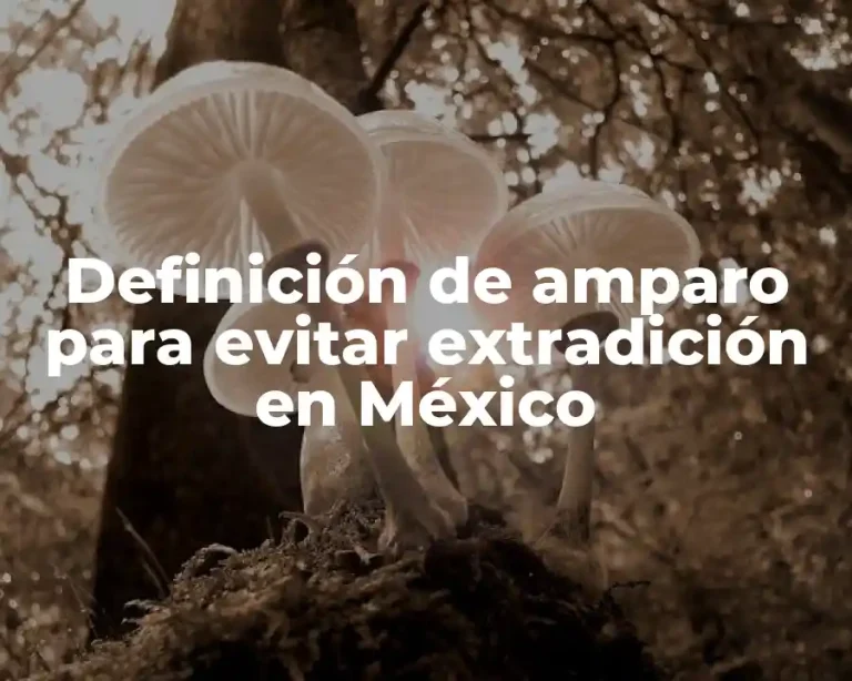 Definición de amparo para evitar extradición en México
