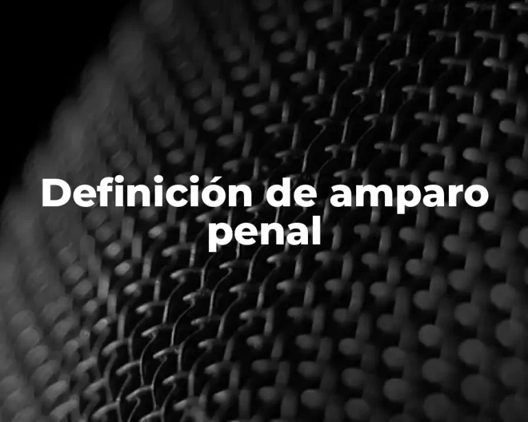 Definición de amparo penal
