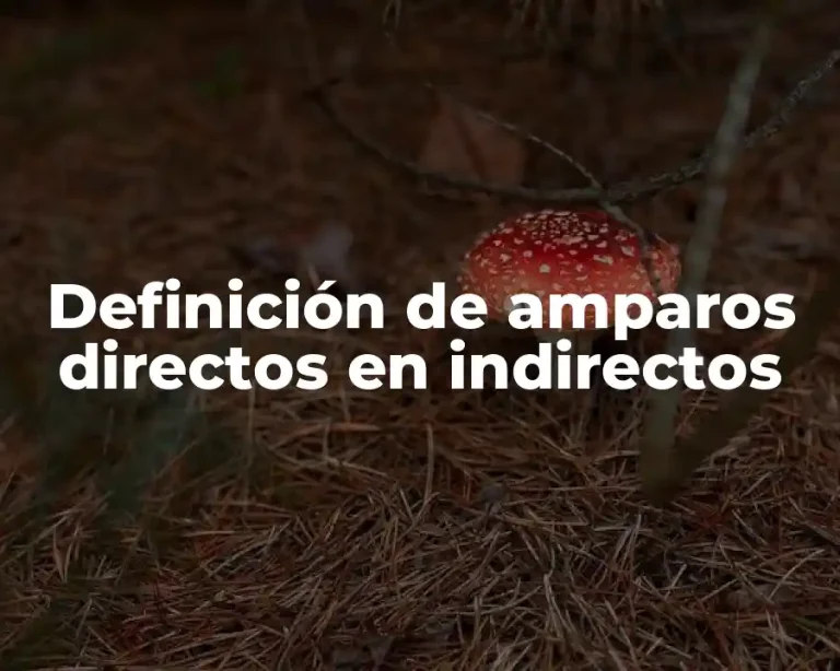 Definición de amparos directos en indirectos
