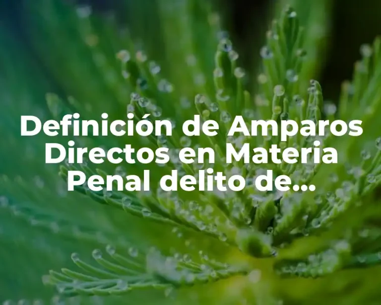 Definición de Amparos Directos en Materia Penal delito de Secuestro