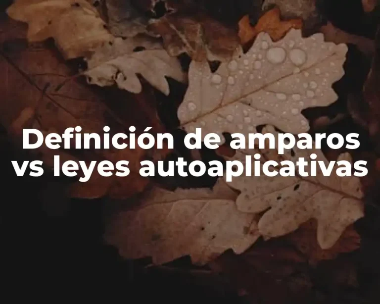 Definición de amparos vs leyes autoaplicativas