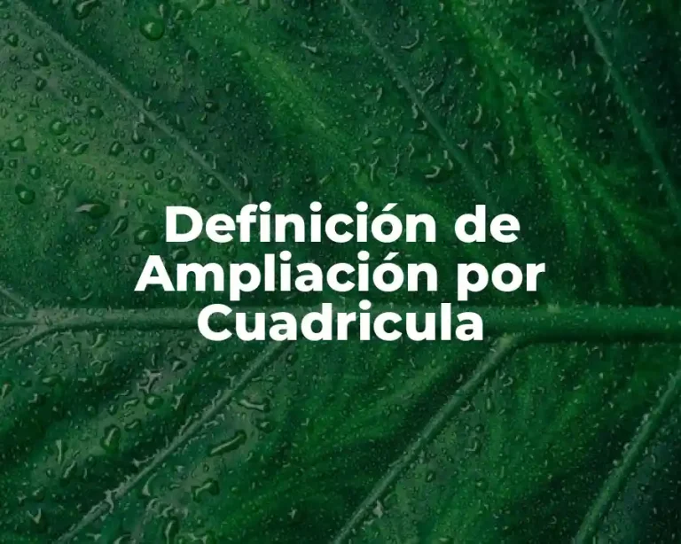 Definición de Ampliación por Cuadricula
