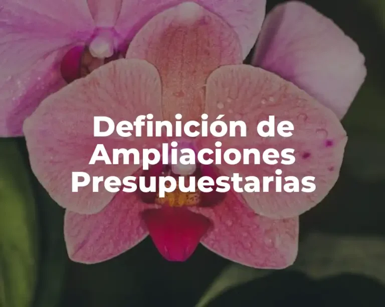 Definición de Ampliaciones Presupuestarias