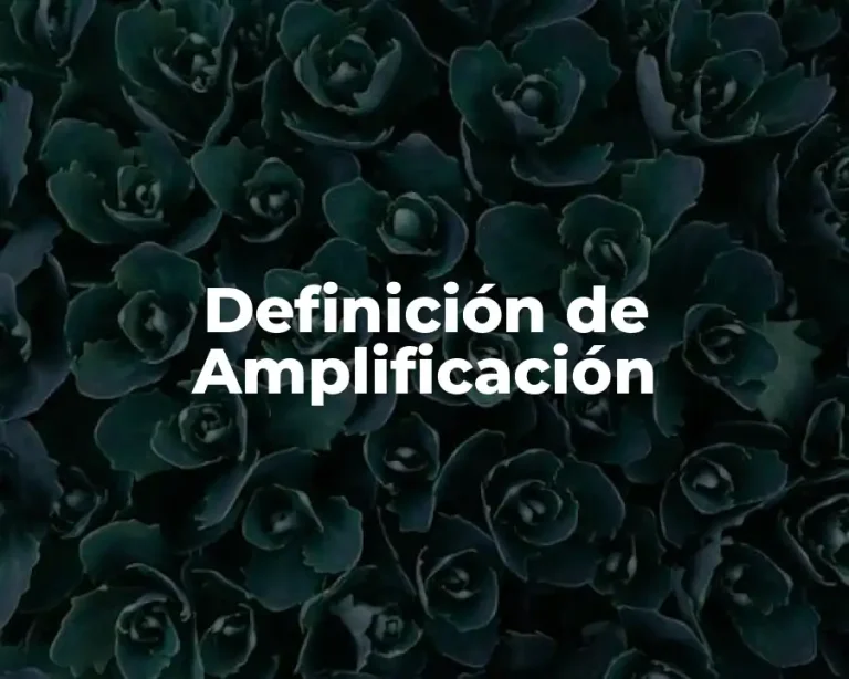 Definición de Amplificación