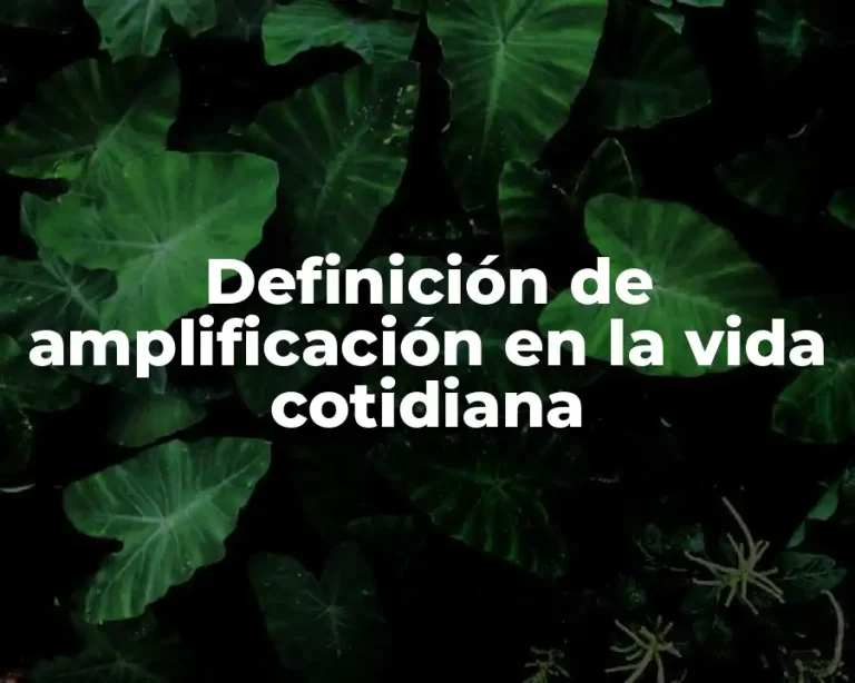 Definición de amplificación en la vida cotidiana