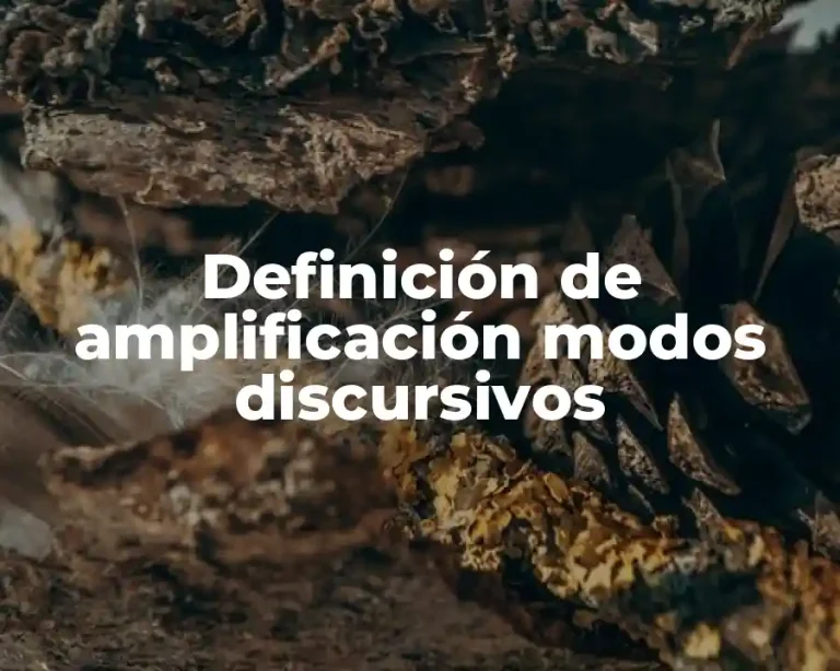 Definición de amplificación modos discursivos