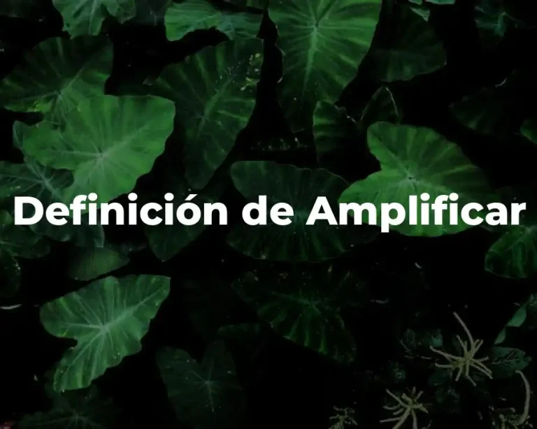 Definición de Amplificar