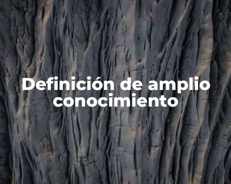 Definición de amplio conocimiento