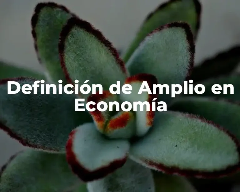 Definición de Amplio en Economía