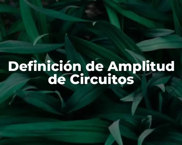 Definición de Amplitud de Circuitos