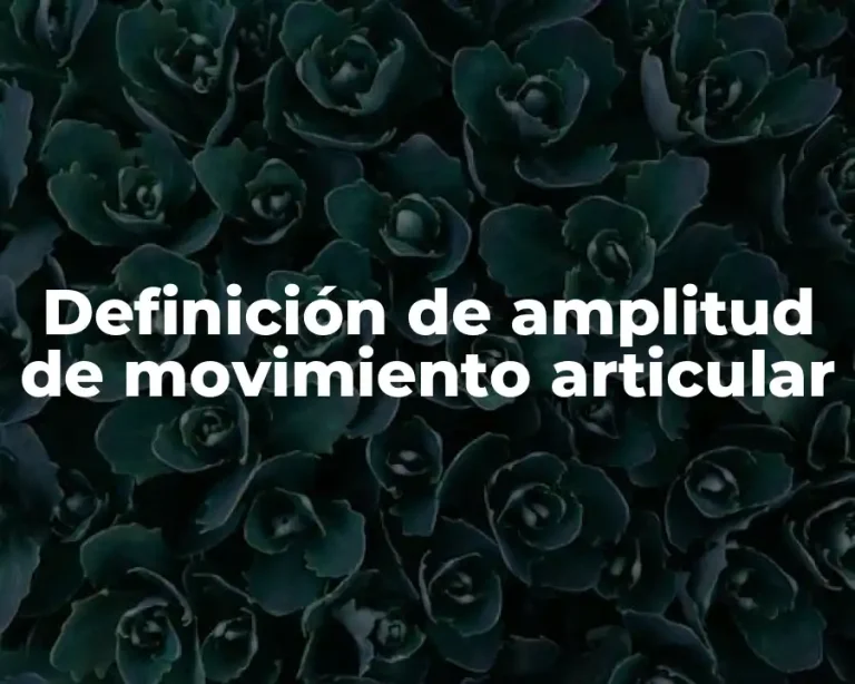 Definición de amplitud de movimiento articular