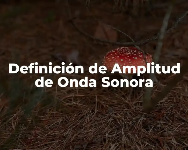 Definición de Amplitud de Onda Sonora