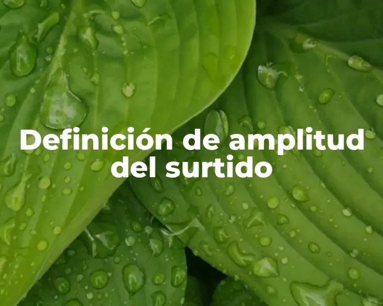 Definición de amplitud del surtido