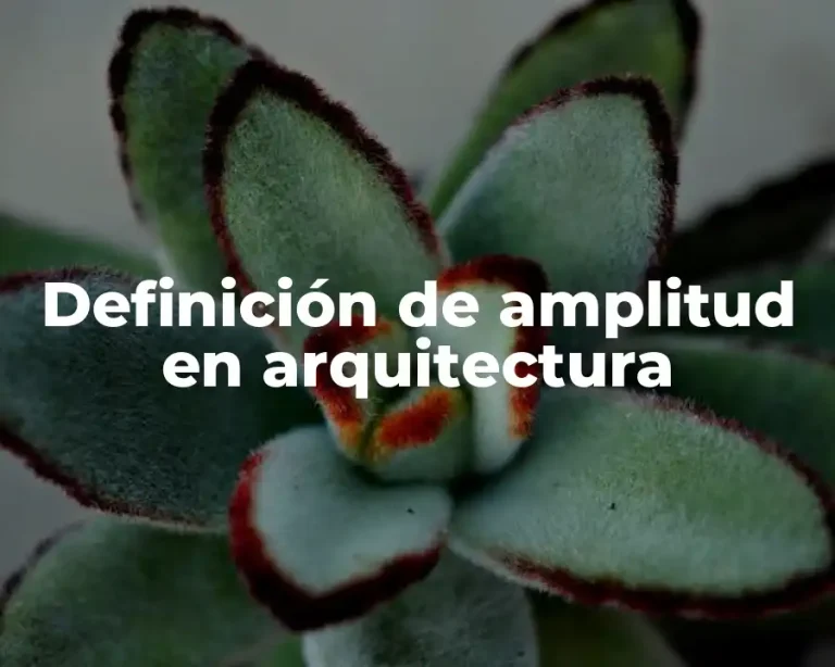 Definición de amplitud en arquitectura