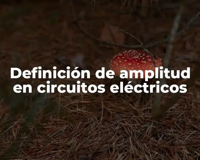 Definición de amplitud en circuitos eléctricos