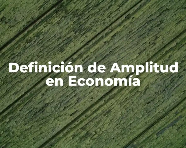 Definición de Amplitud en Economía
