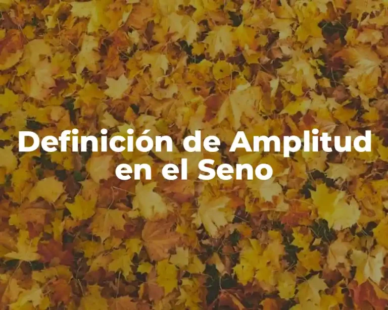Definición de Amplitud en el Seno