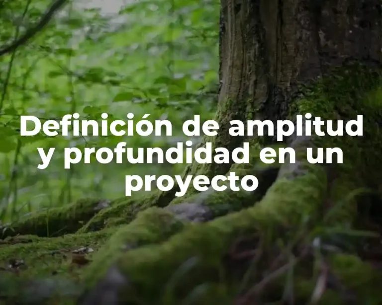 Definición de amplitud y profundidad en un proyecto