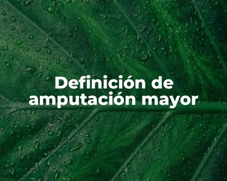 Definición de amputación mayor