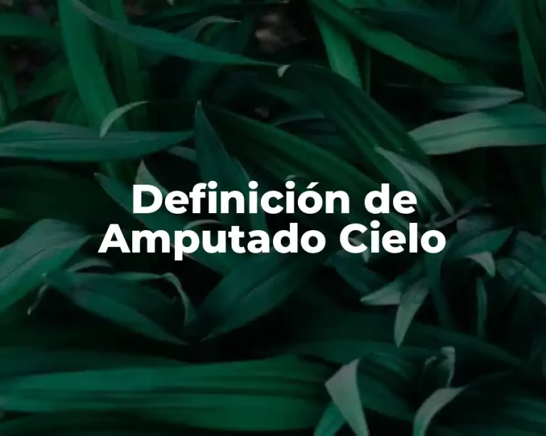 Definición de Amputado Cielo