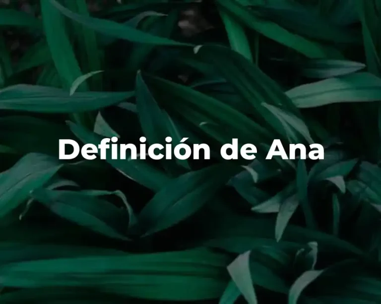 Definición de Ana