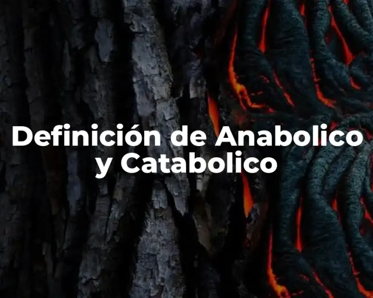 Definición de Anabolico y Catabolico