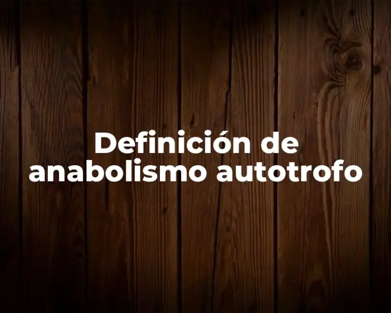 Definición de anabolismo autotrofo