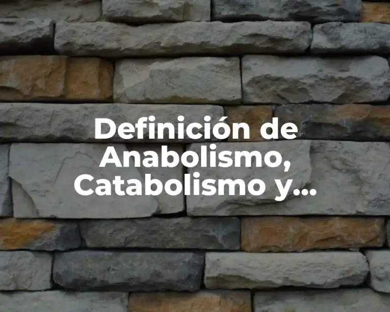 Definición de Anabolismo, Catabolismo y Metabolismo