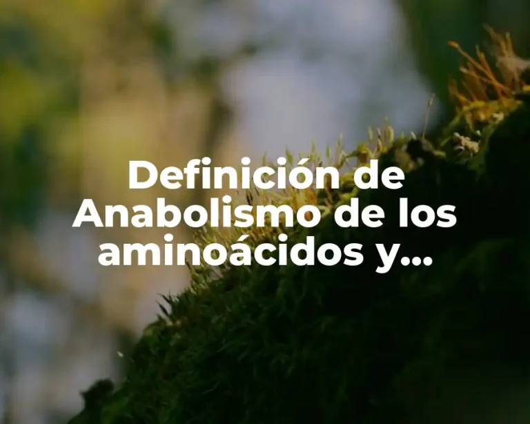 Definición de Anabolismo de los aminoácidos y proteínas