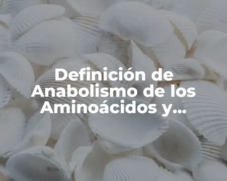 Definición de Anabolismo de los Aminoácidos y Proteínas Animal