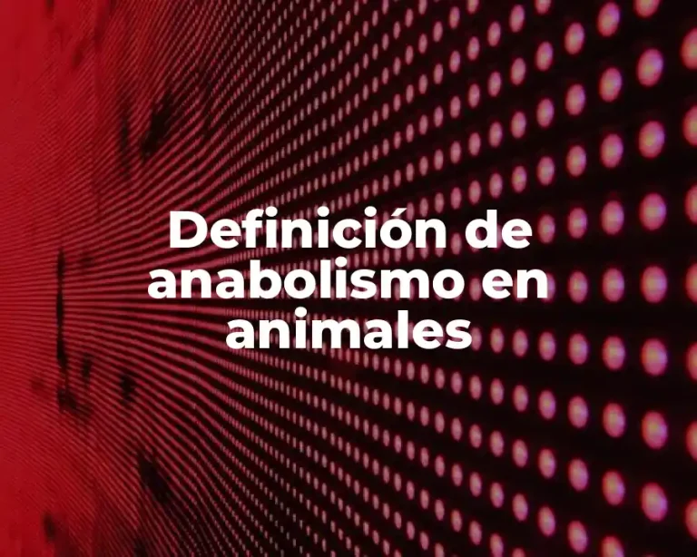 Definición de anabolismo en animales