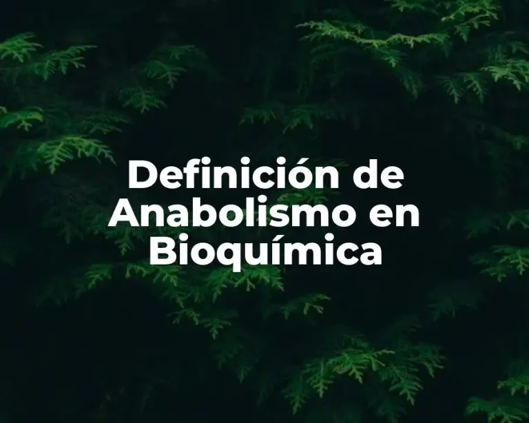 Definición de Anabolismo en Bioquímica