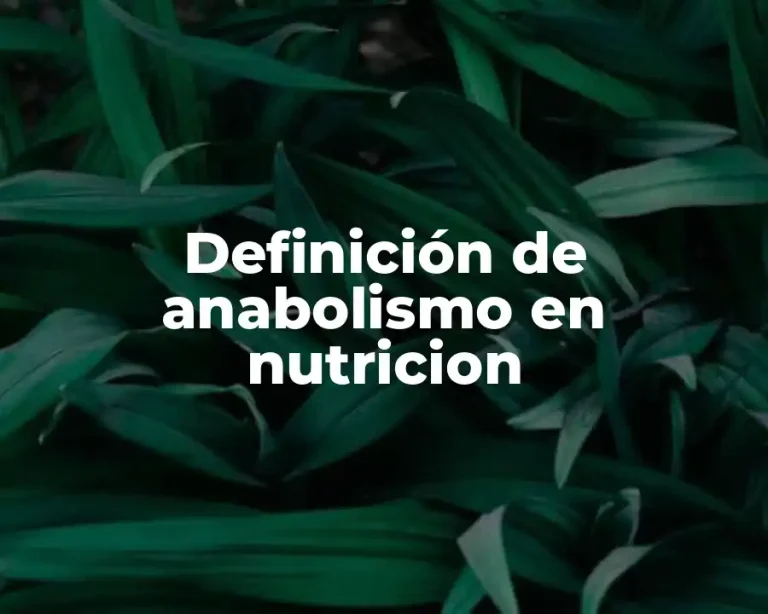 Definición de anabolismo en nutricion
