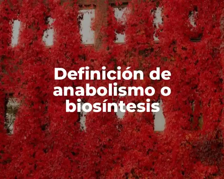 Definición de anabolismo o biosíntesis